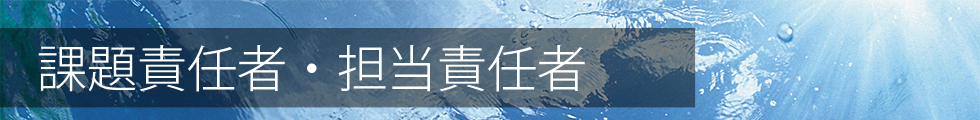 HPCI戦略プログラム分野3