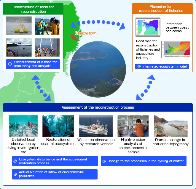 海洋生態系変動メカニズムの解明イメージ図