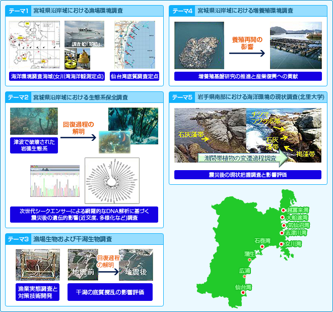 漁場環境の変化プロセスの解明イメージ図