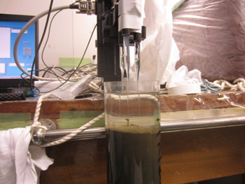 コアの採取後すぐに溶存酸素濃度の測定を行う、溶存酸素濃度は海洋生物が生息する環境で計測すべき重要なデータの一つ