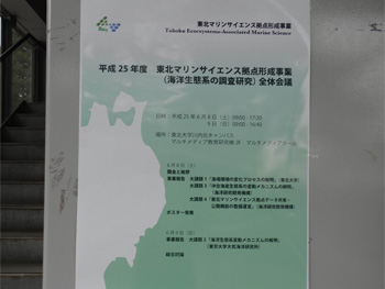 2013年度TEAMS全体会議開催ポスター