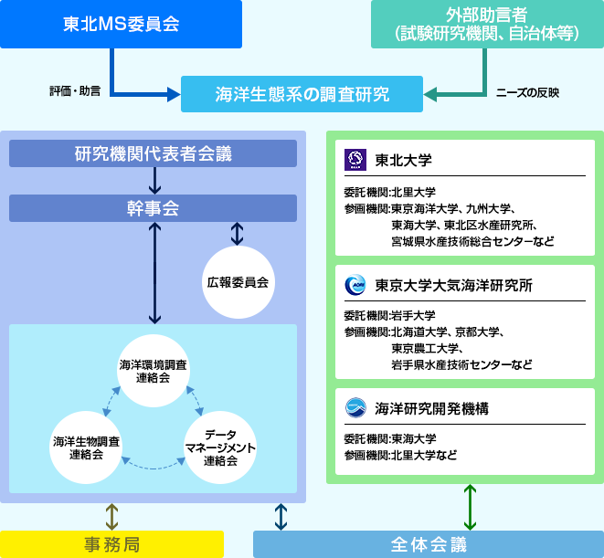 実施メンバー組織図