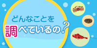 どんなことを調べているの？