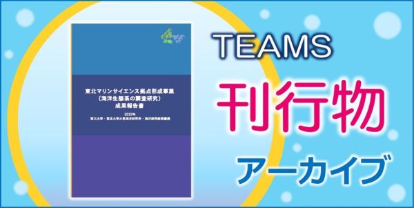 TEAMS刊行物アーカイブ