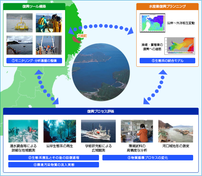 海洋生態系変動メカニズムの解明イメージ図