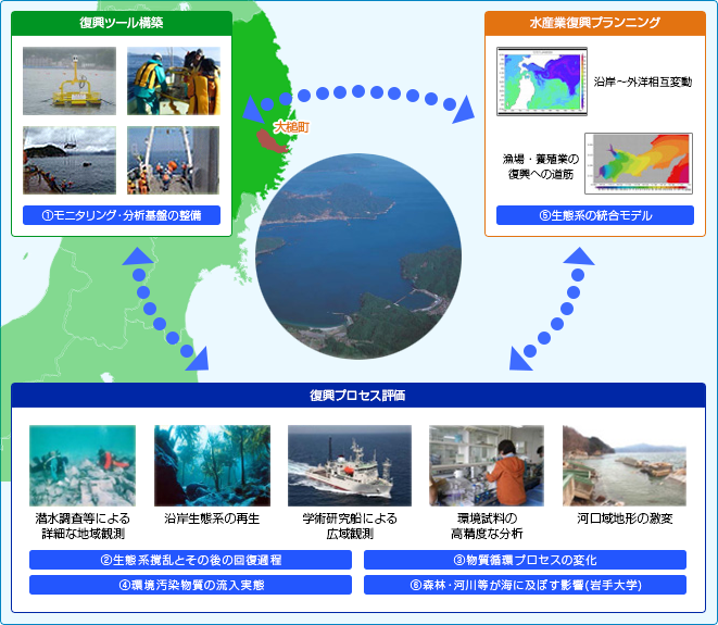 海洋生態系変動メカニズムの解明イメージ図