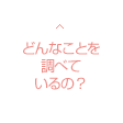 どんなことを調べているの？