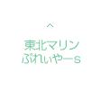 東北マリンぷれいやーｓ