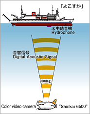 「しんかい6500」の水中画像伝送装置