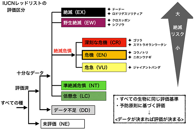 図2