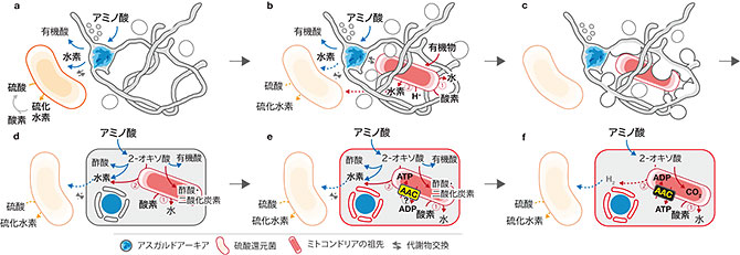 図4