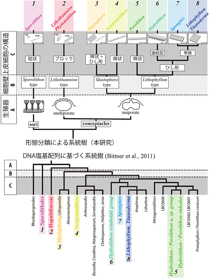 図5