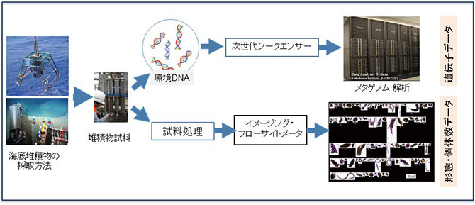 図3