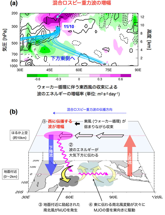 図5