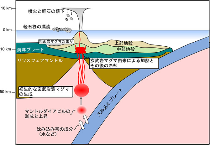 図6