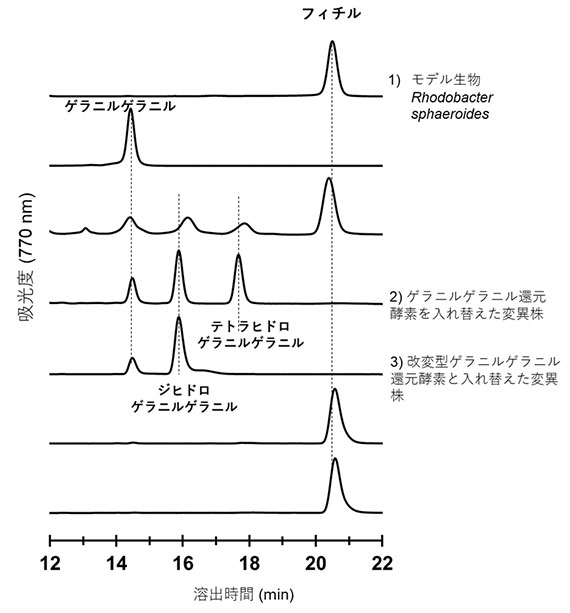 図3