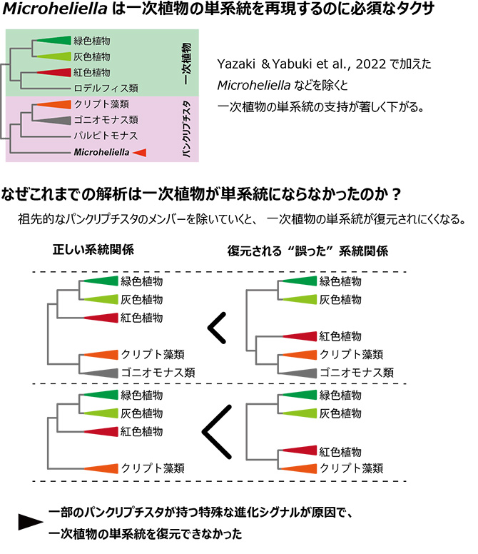 図3