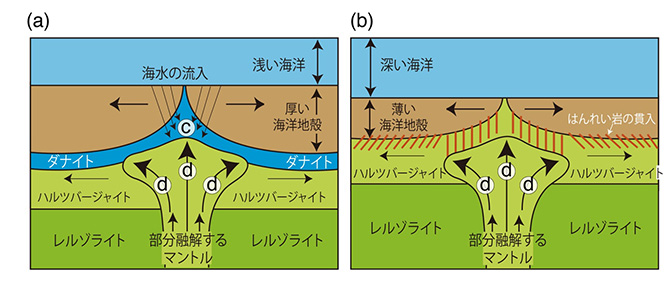 図5