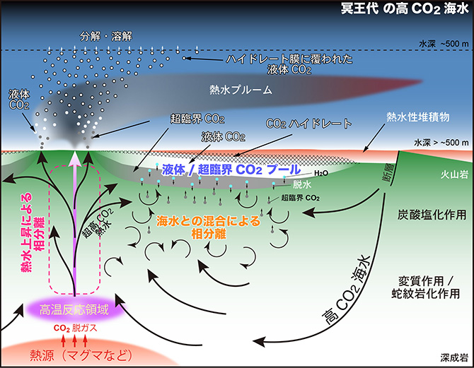 図5