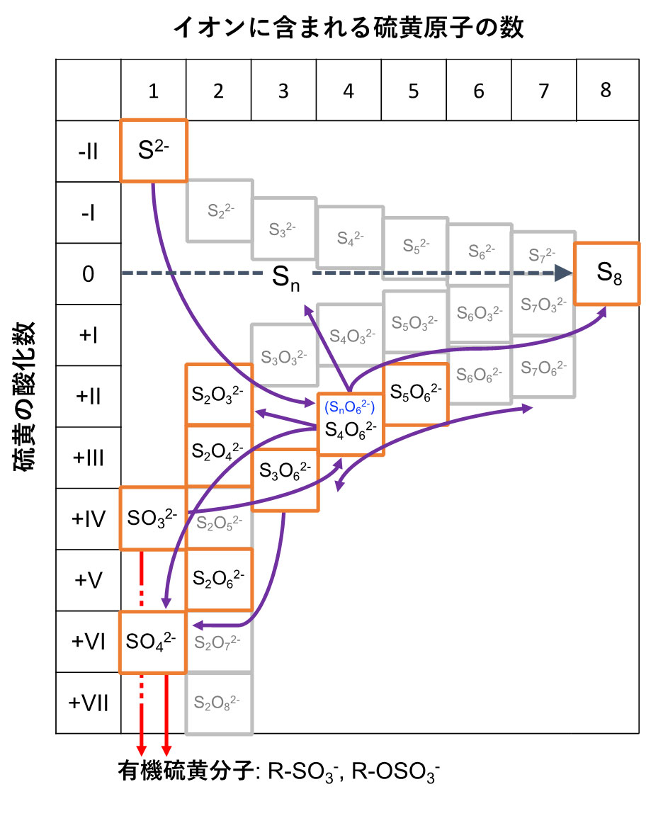 図３