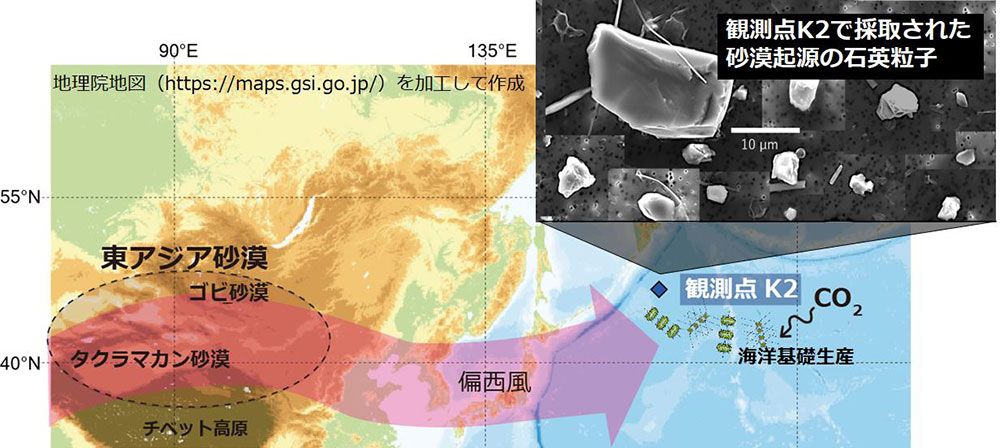 黄砂が海の生態系を育むって本当？ ～海水中の石英粒子から海洋への黄砂沈着フラックスを推定～