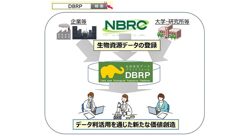 ＤＢＲＰを通した微生物資源とその関連データの利活用