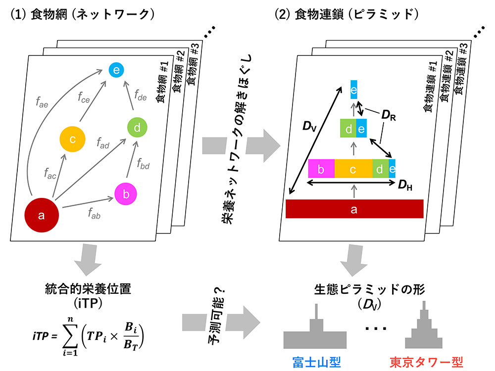 図１