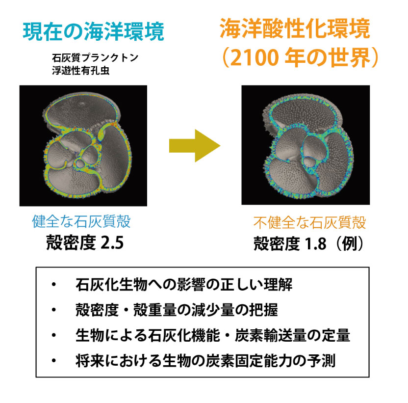 図１