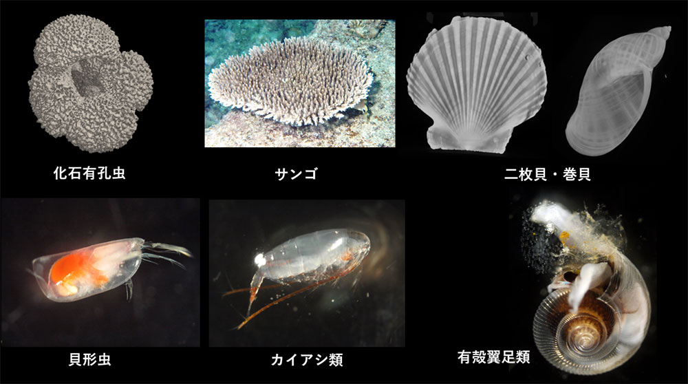 図6