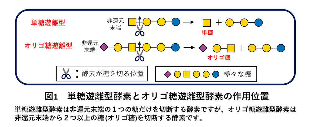 図1