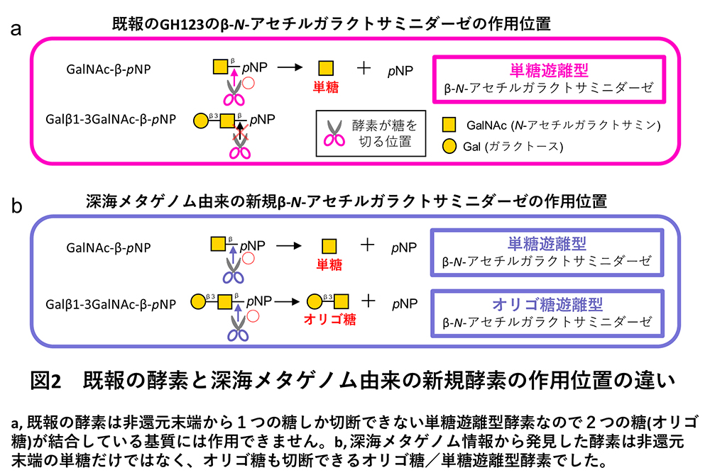 図2