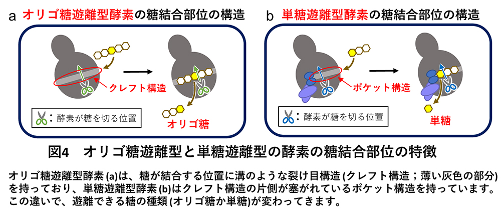 図4