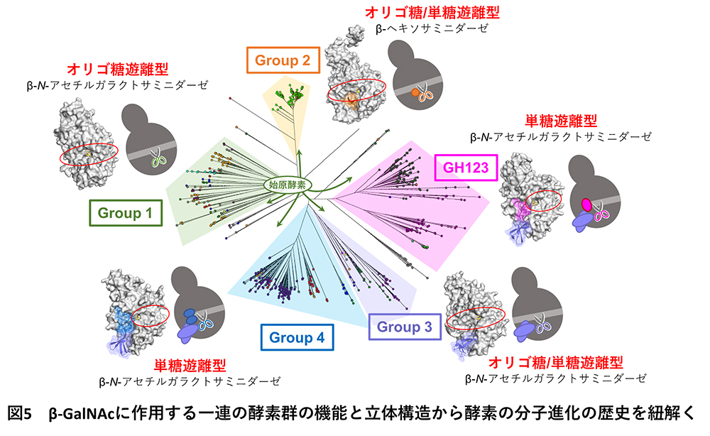 図5