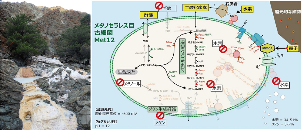 図1