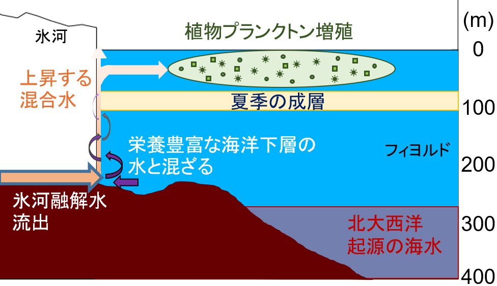 図4