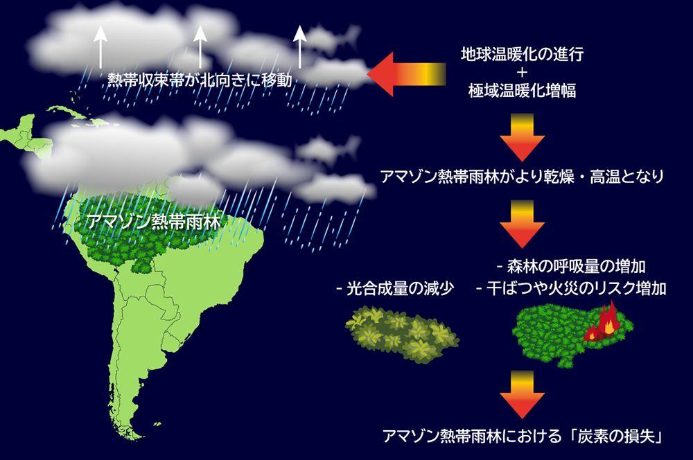 図1