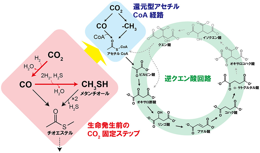 図4