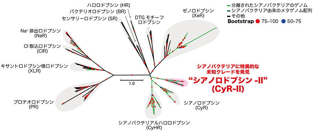 図1
