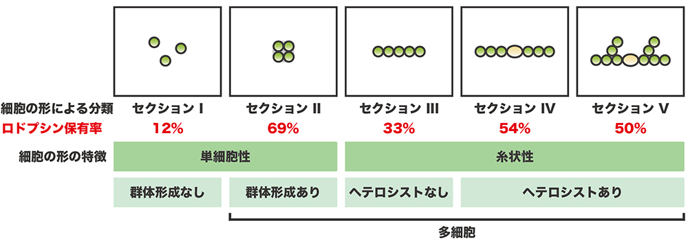 図5