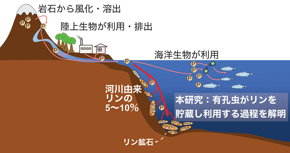 図6