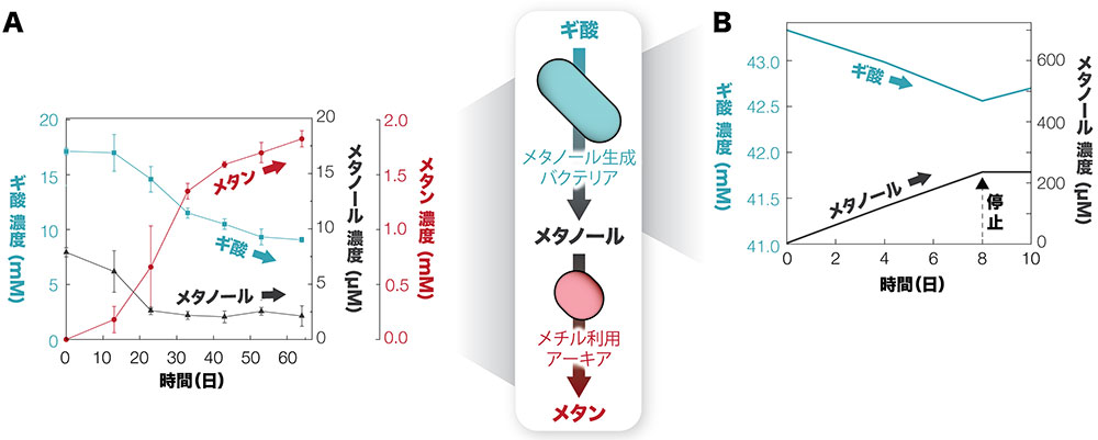 図1