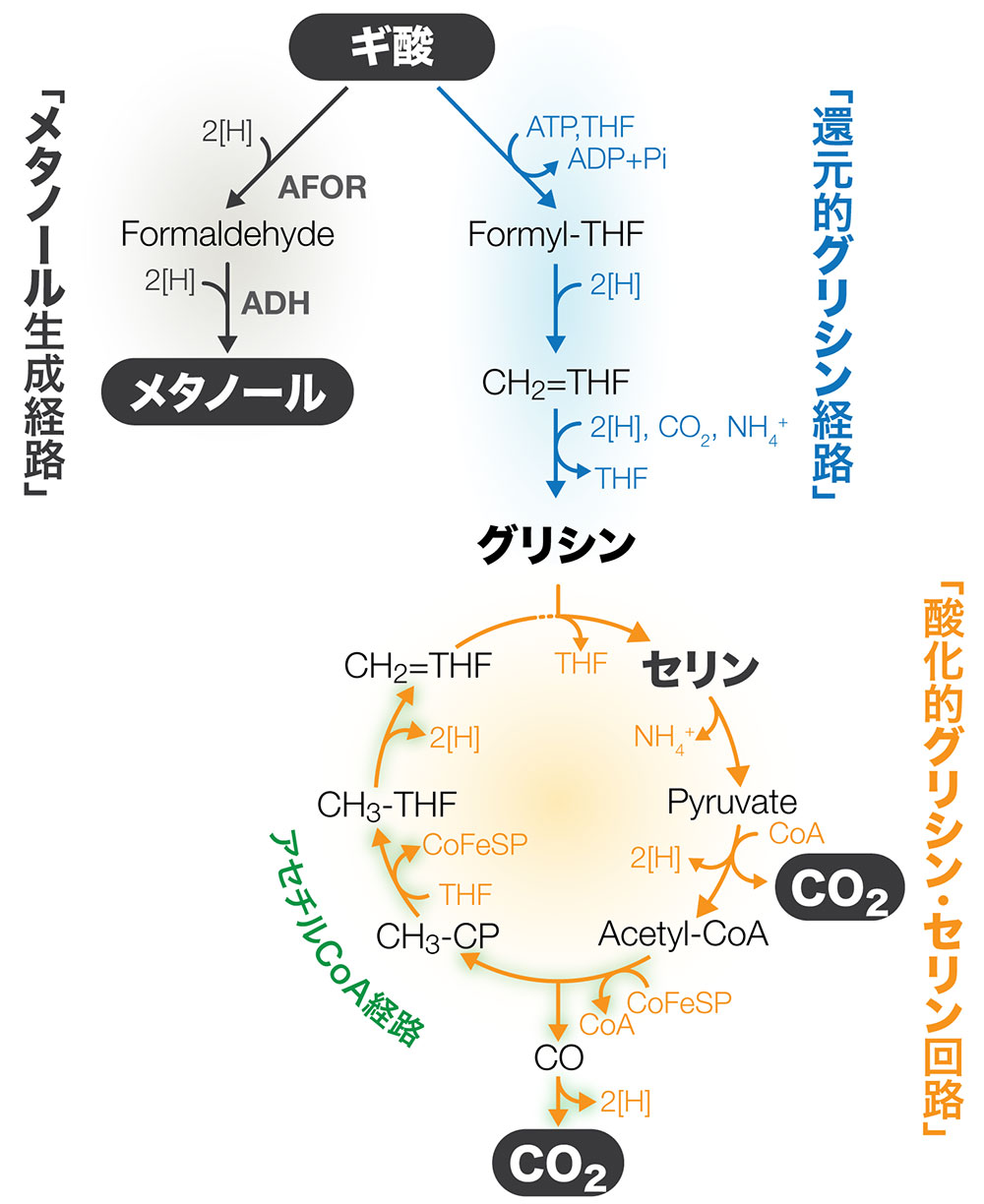図2