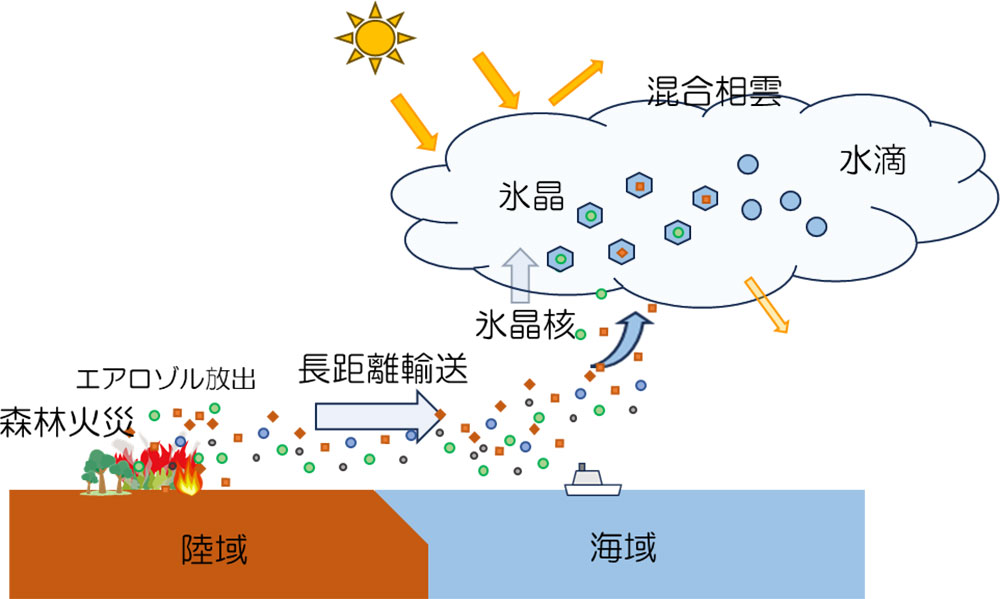 シベリア森林火災が遠く離れた洋上の雲のもととなる？～高緯度洋上で測定した氷晶核濃度とエアロゾル成分濃度の比較から～