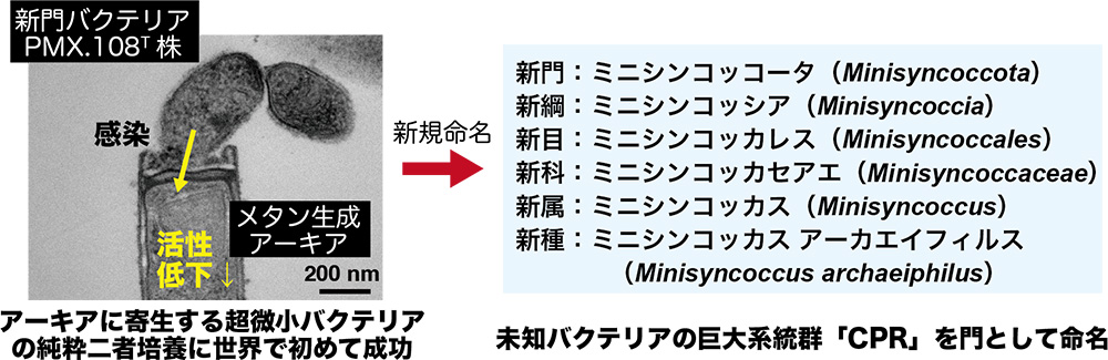 図1