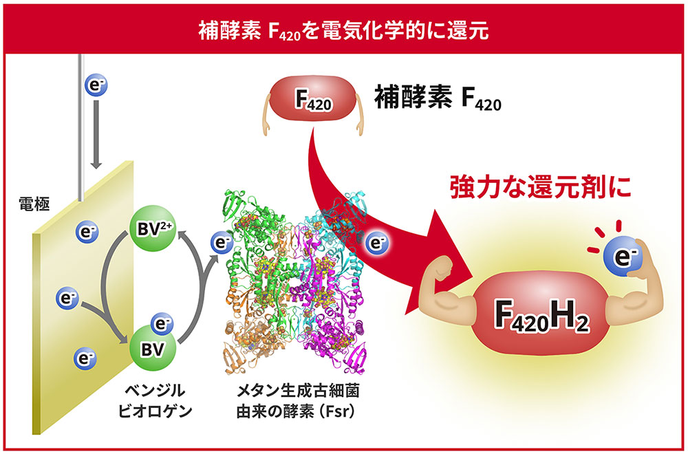 図1