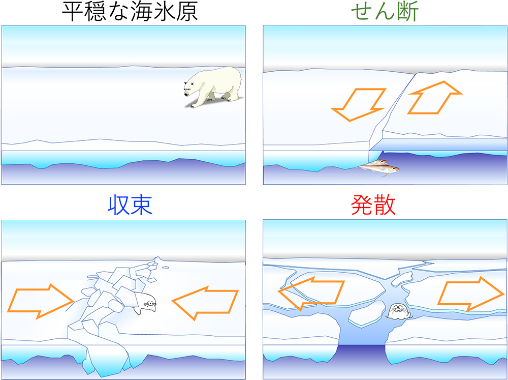図2