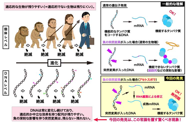 図1