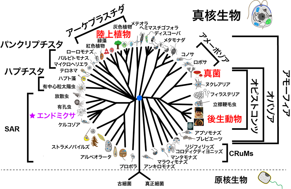 図2