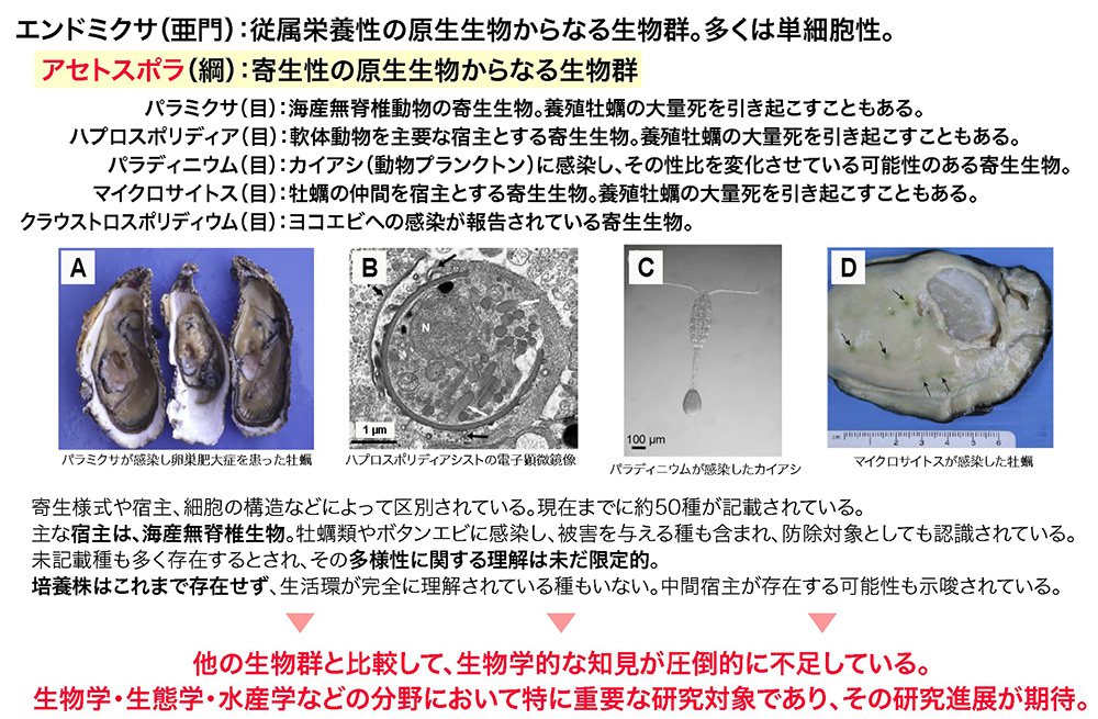 図3