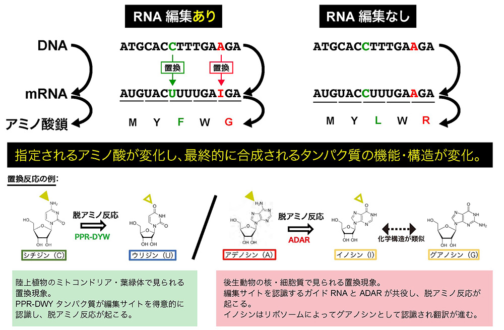 図4